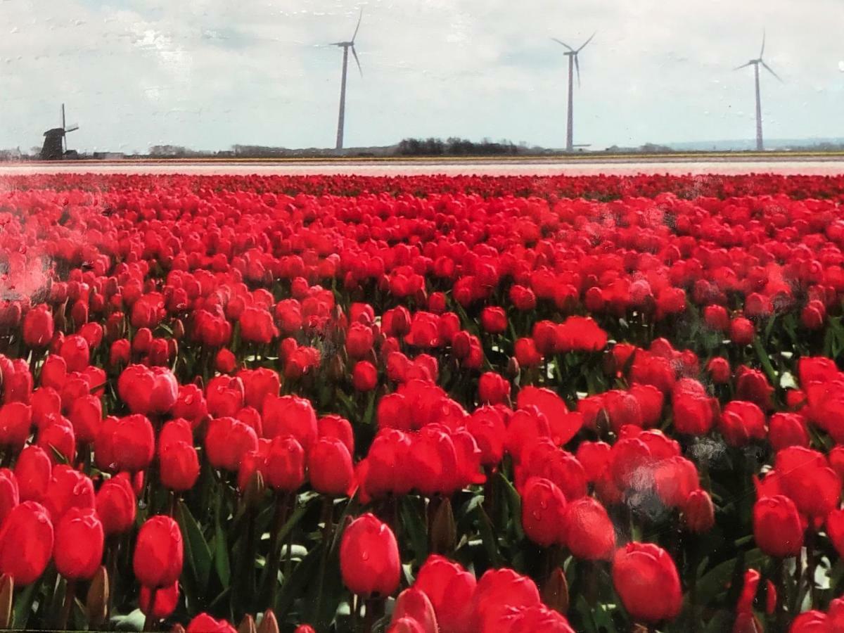 Vakantiehuis Aan Zee Sint Maartensvlotbrug Экстерьер фото